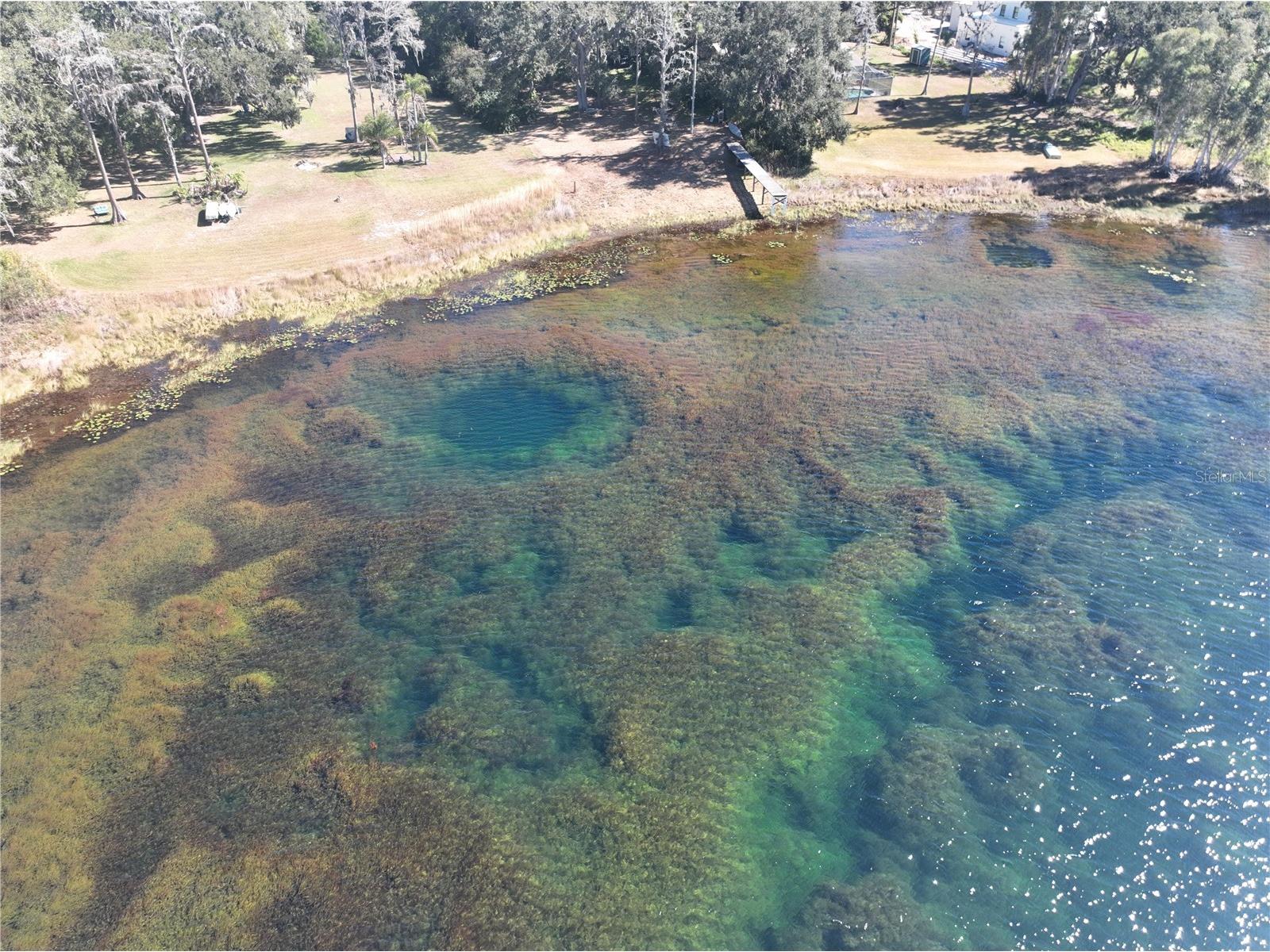 9906 Gunn Highway Odessa FL 33556 - LAKE RALEIGH TB8463972 image39