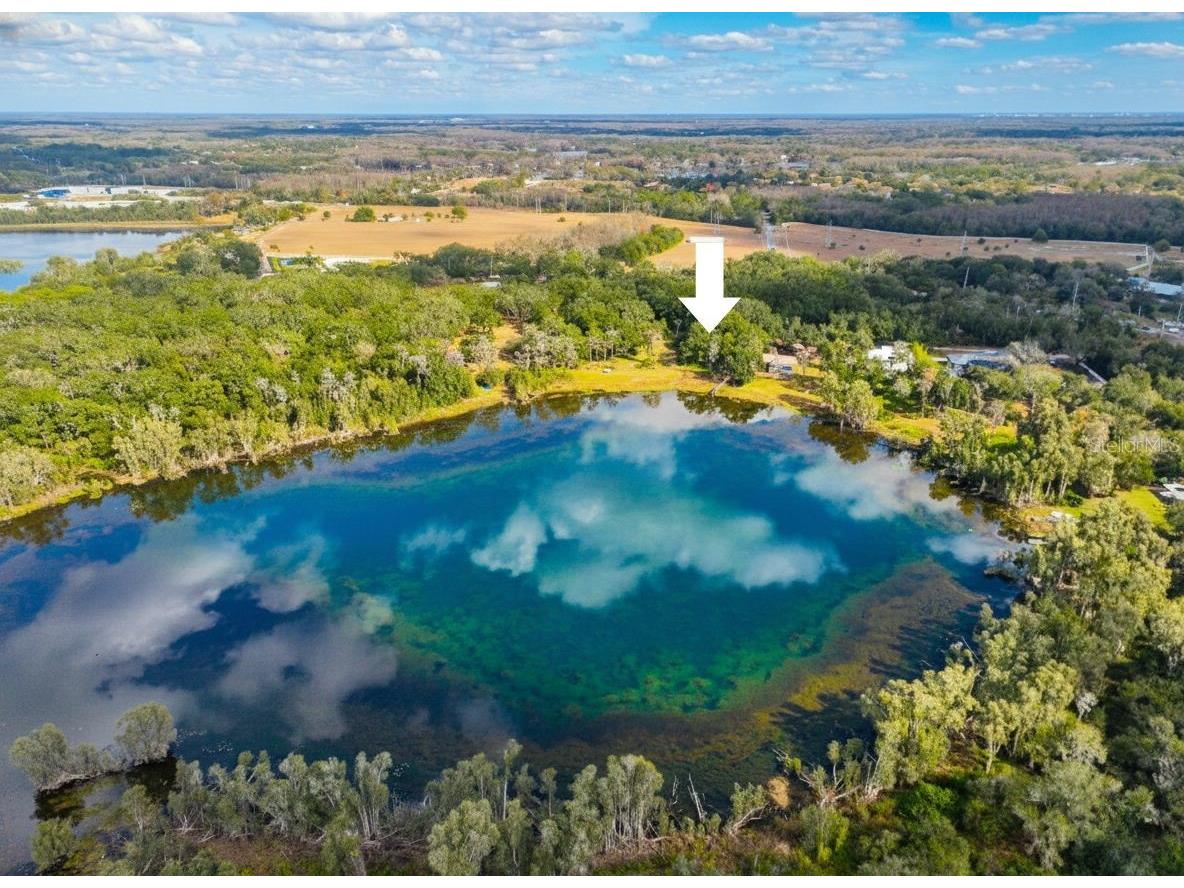 9906 Gunn Highway Odessa FL 33556 - LAKE RALEIGH TB8463972 image4
