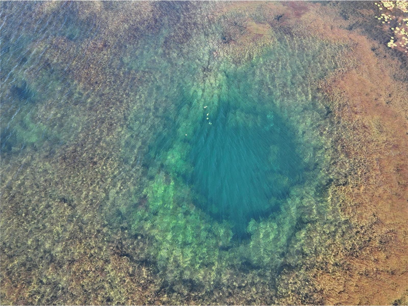 9906 Gunn Highway Odessa FL 33556 - LAKE RALEIGH TB8463972 image40