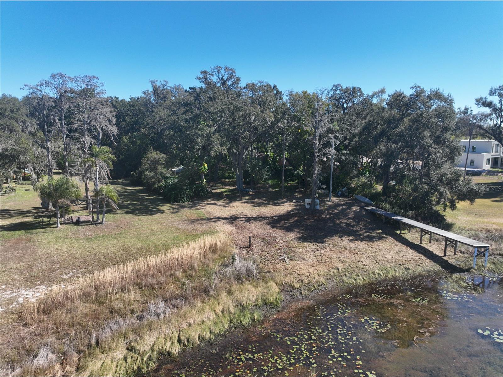 9906 Gunn Highway Odessa FL 33556 - LAKE RALEIGH TB8463972 image41