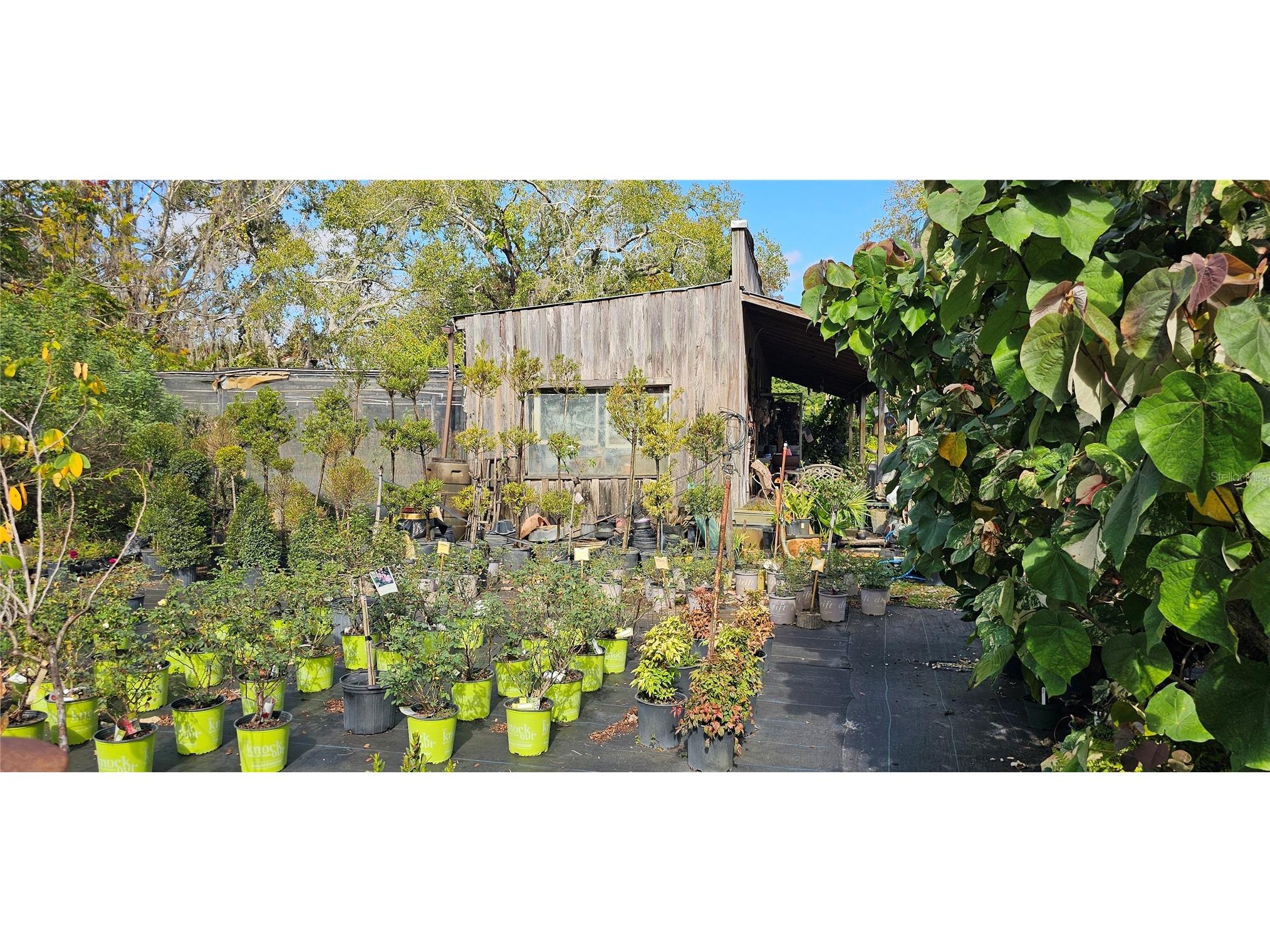 9906 Gunn Highway Odessa FL 33556 - LAKE RALEIGH TB8463972 image44