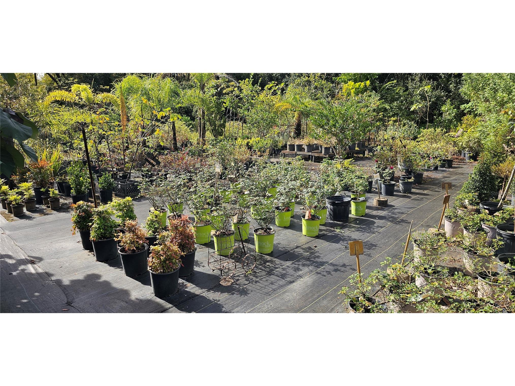 9906 Gunn Highway Odessa FL 33556 - LAKE RALEIGH TB8463972 image46