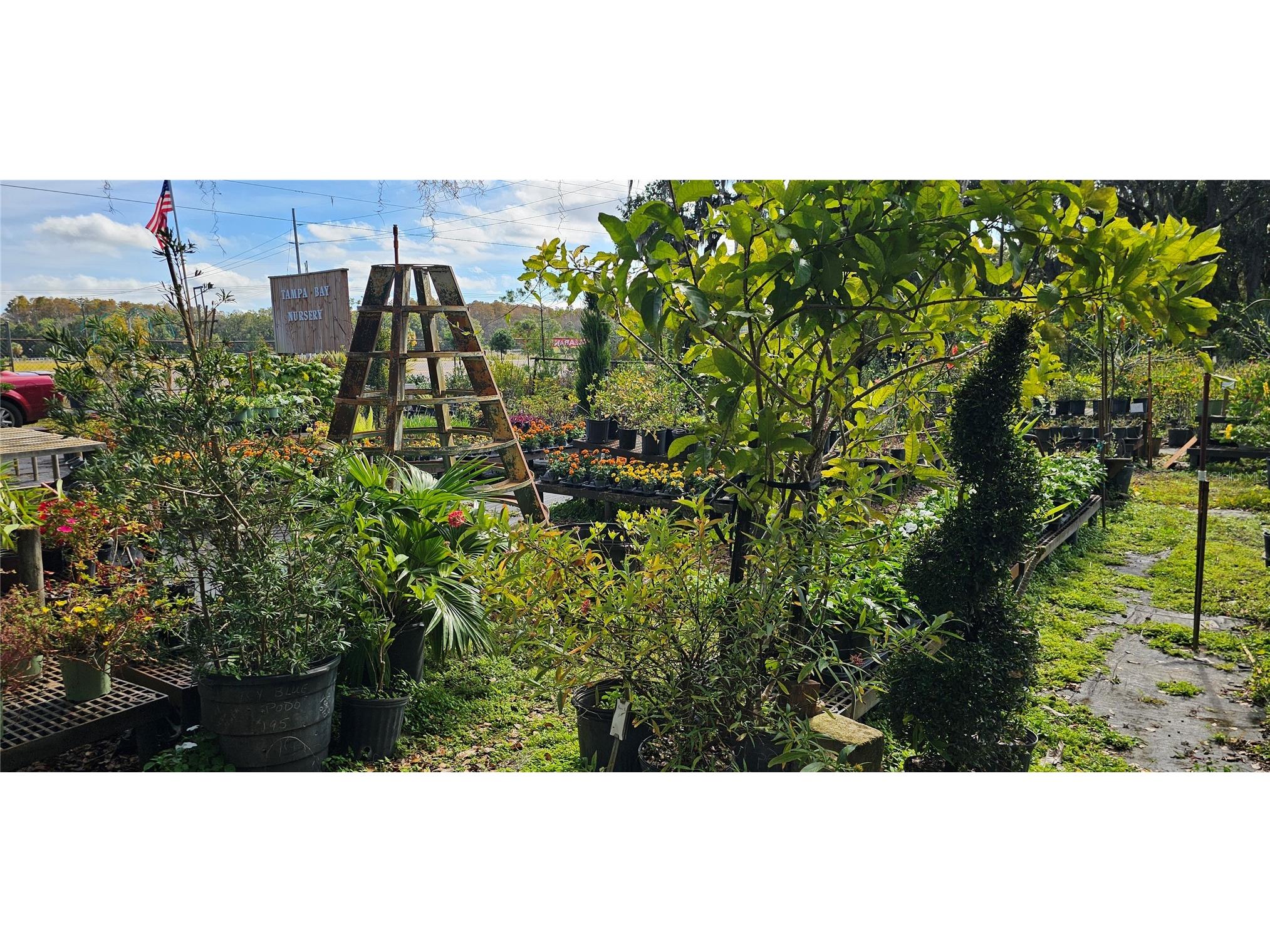 9906 Gunn Highway Odessa FL 33556 - LAKE RALEIGH TB8463972 image47