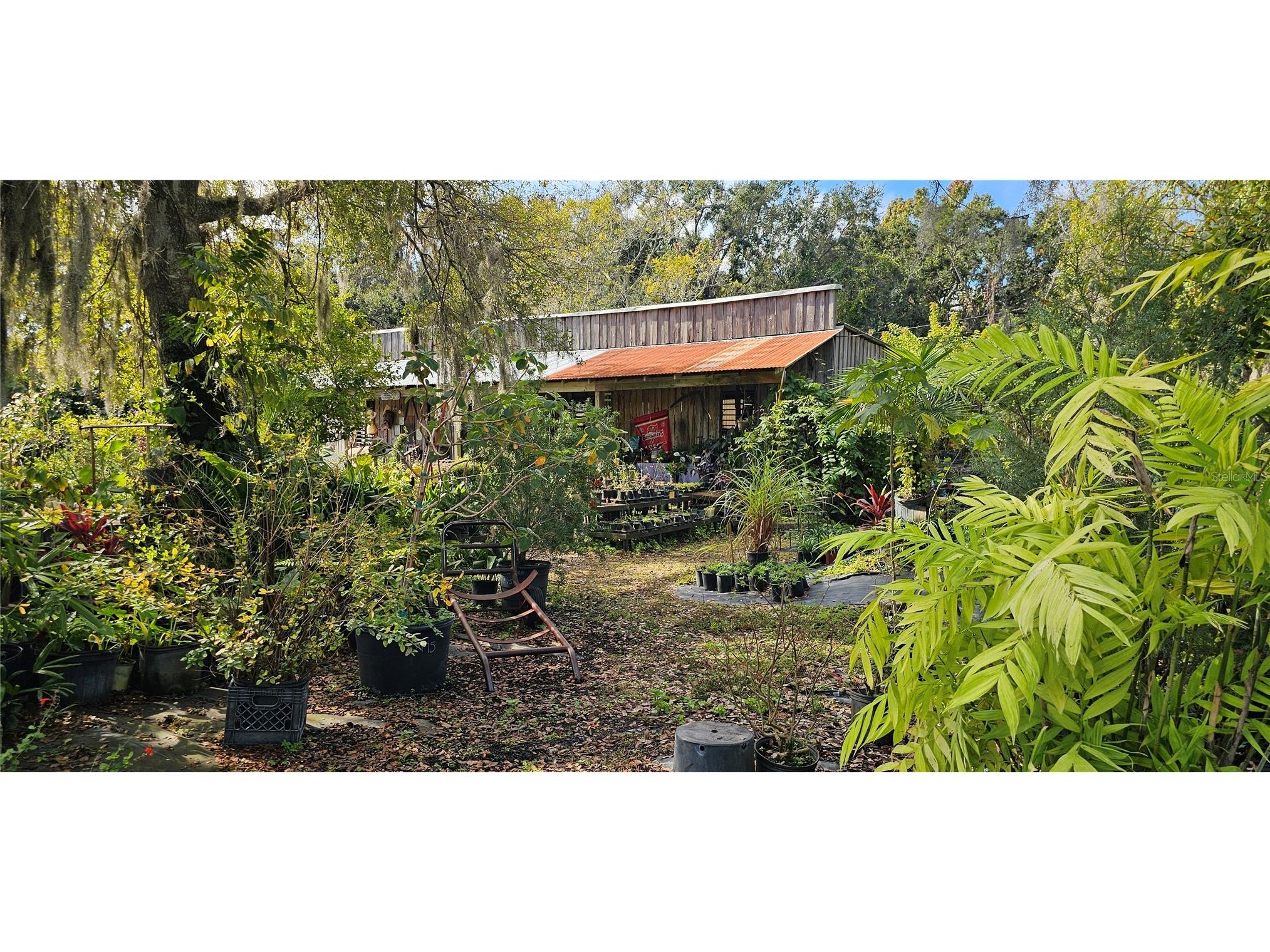 9906 Gunn Highway Odessa FL 33556 - LAKE RALEIGH TB8463972 image5