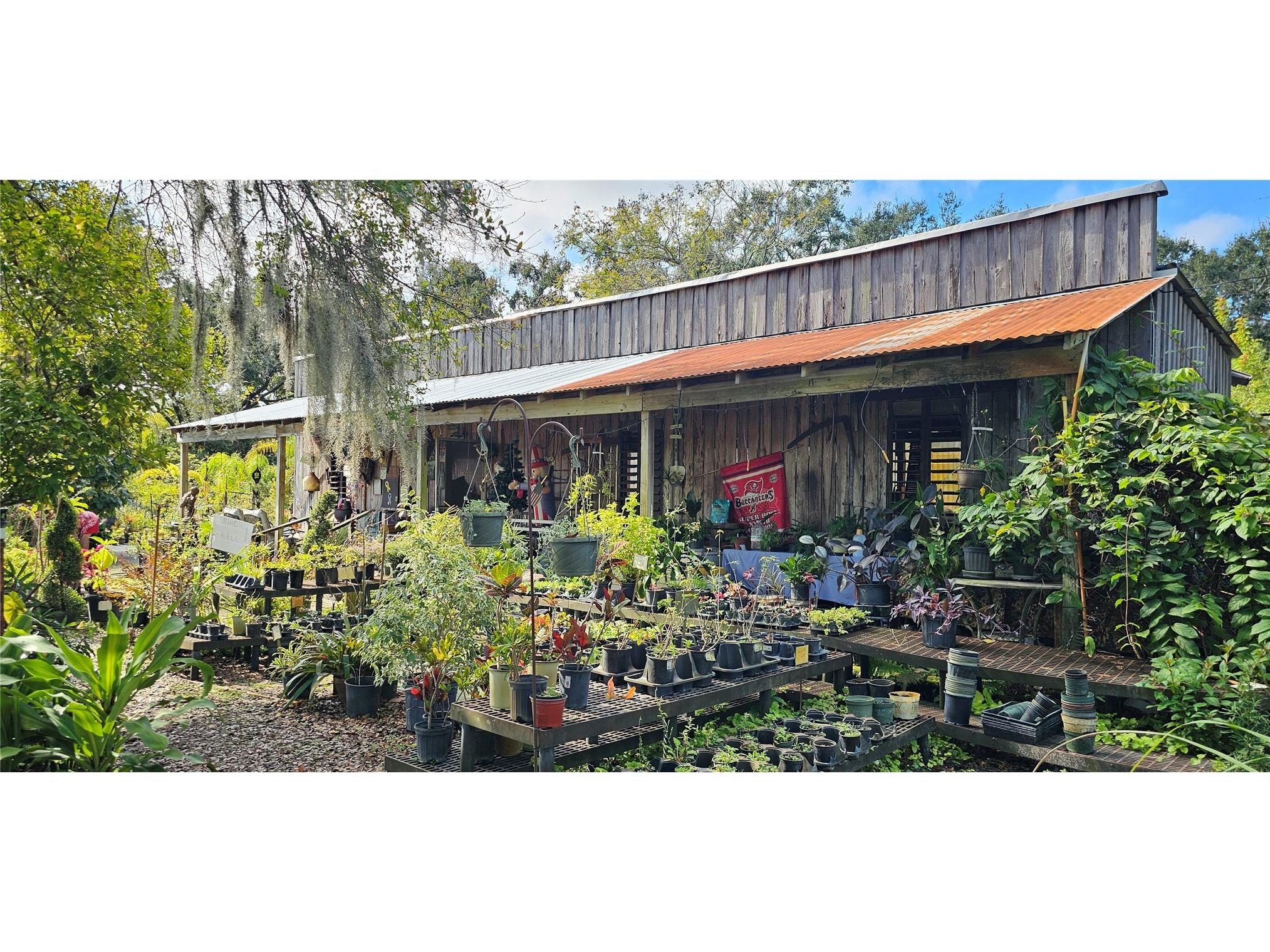 9906 Gunn Highway Odessa FL 33556 - LAKE RALEIGH TB8463972 image6