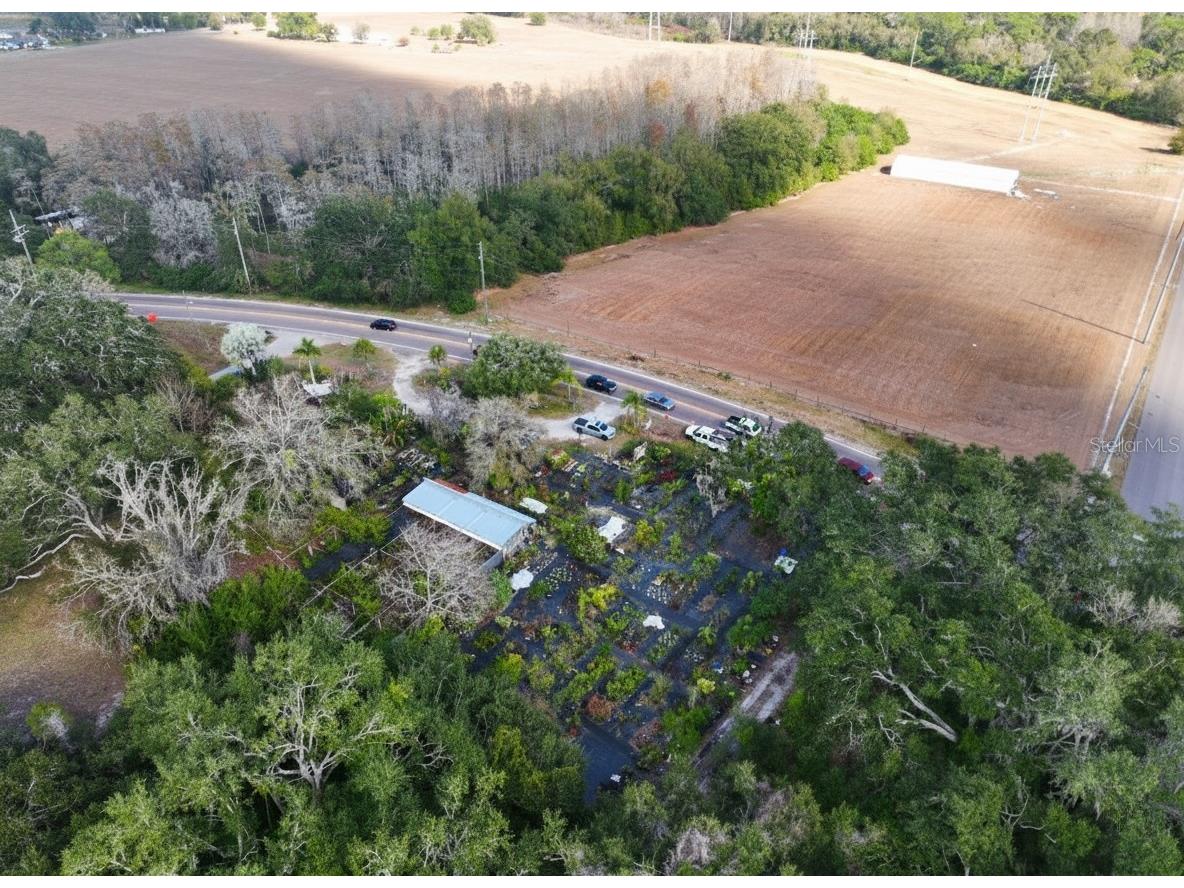 9906 Gunn Highway Odessa FL 33556 - LAKE RALEIGH TB8463972 image9