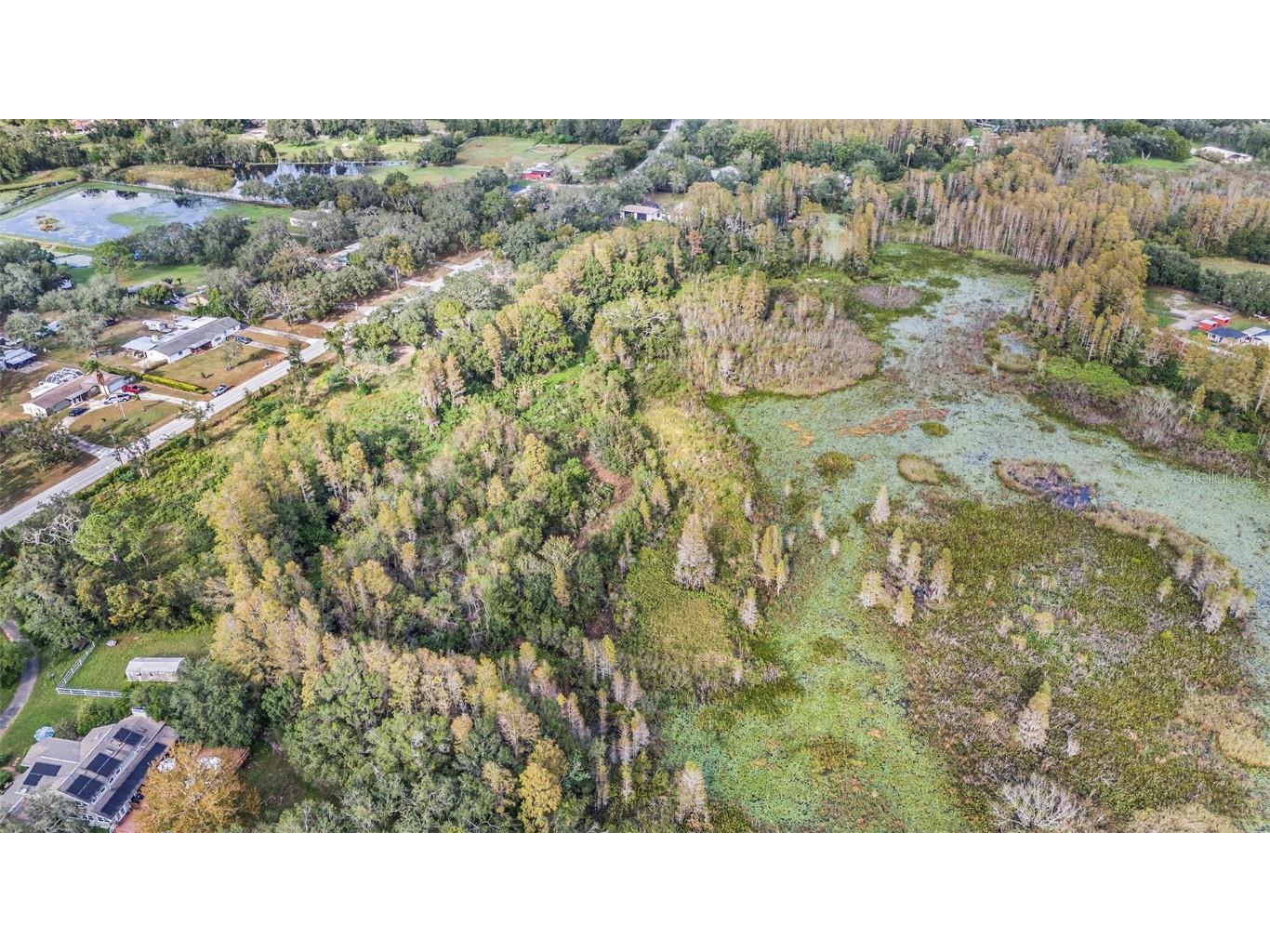 9906 Hilltop Drive New Port Richey FL 34654 TB8320335 image10