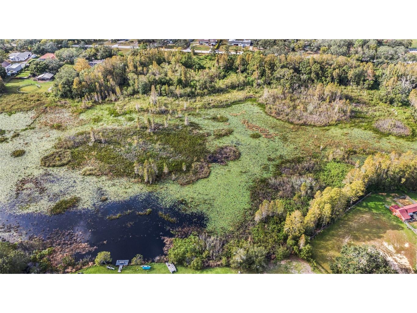 9906 Hilltop Drive New Port Richey FL 34654 TB8320335 image11