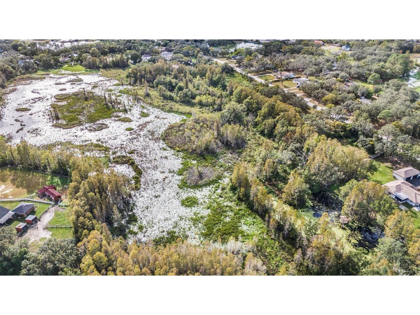 9906 Hilltop Drive New Port Richey FL 34654 TB8320335 image12