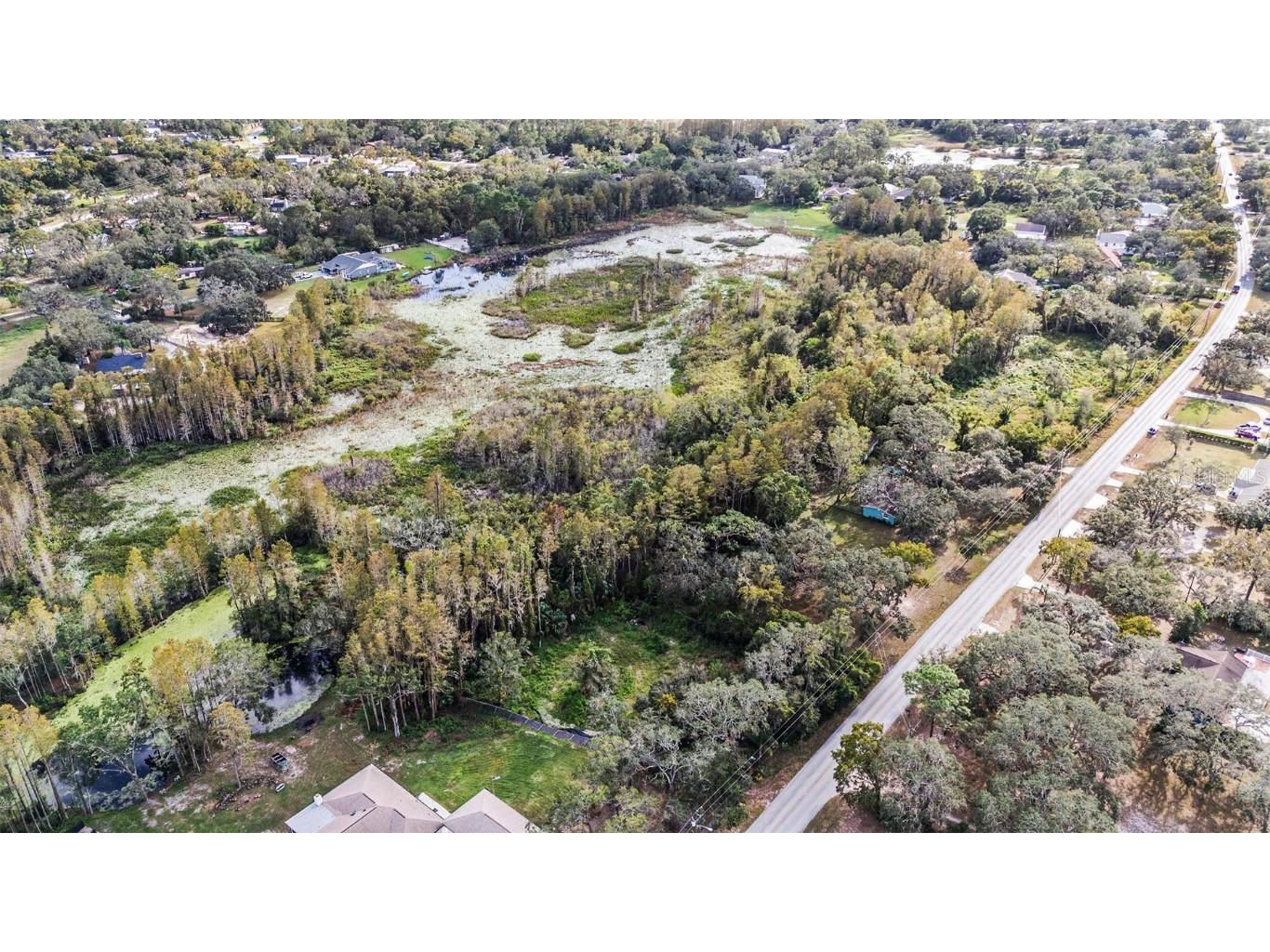 9906 Hilltop Drive New Port Richey FL 34654 TB8320335 image14