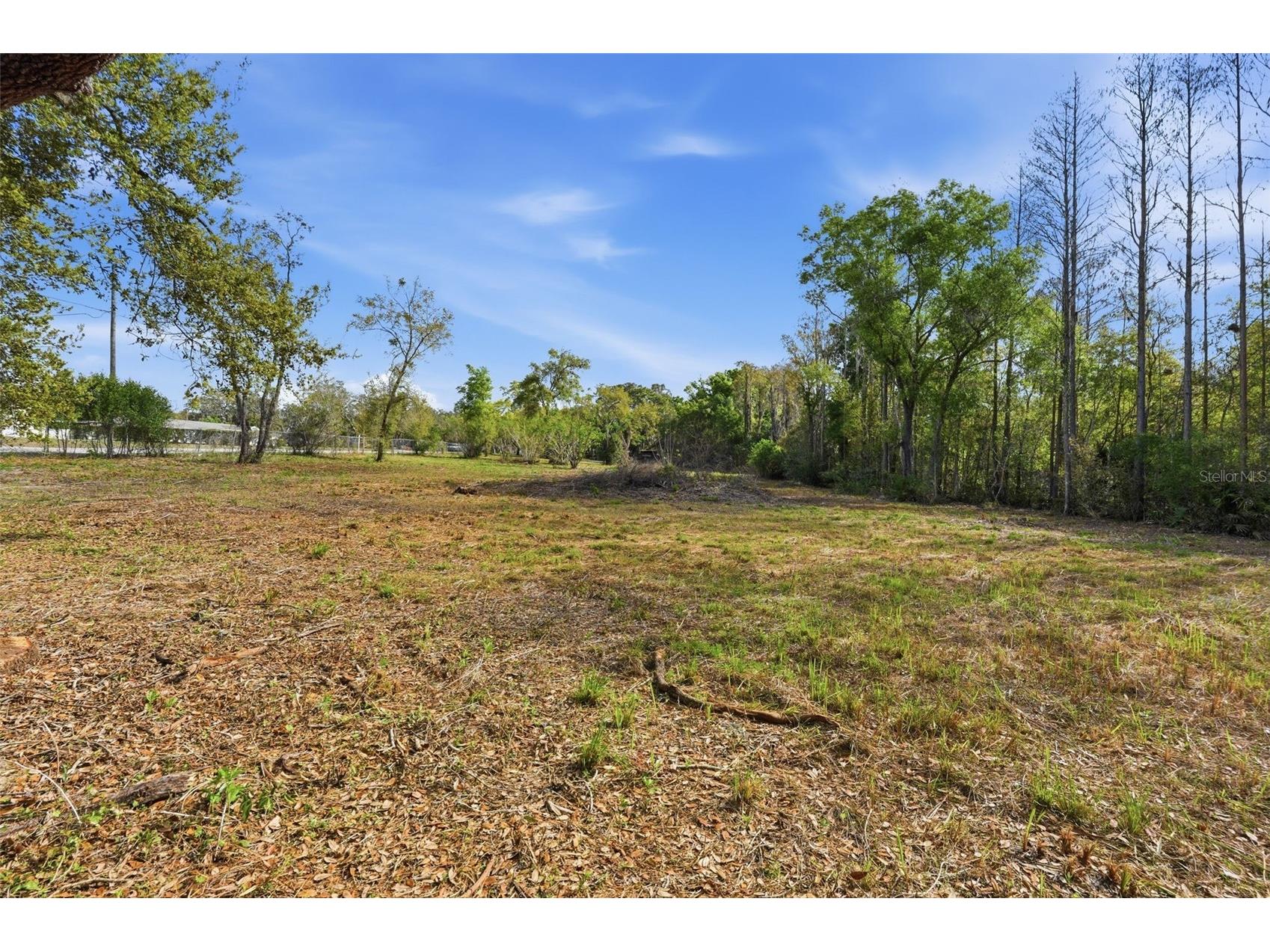 9906 Hilltop Drive New Port Richey FL 34654 TB8320335 image21