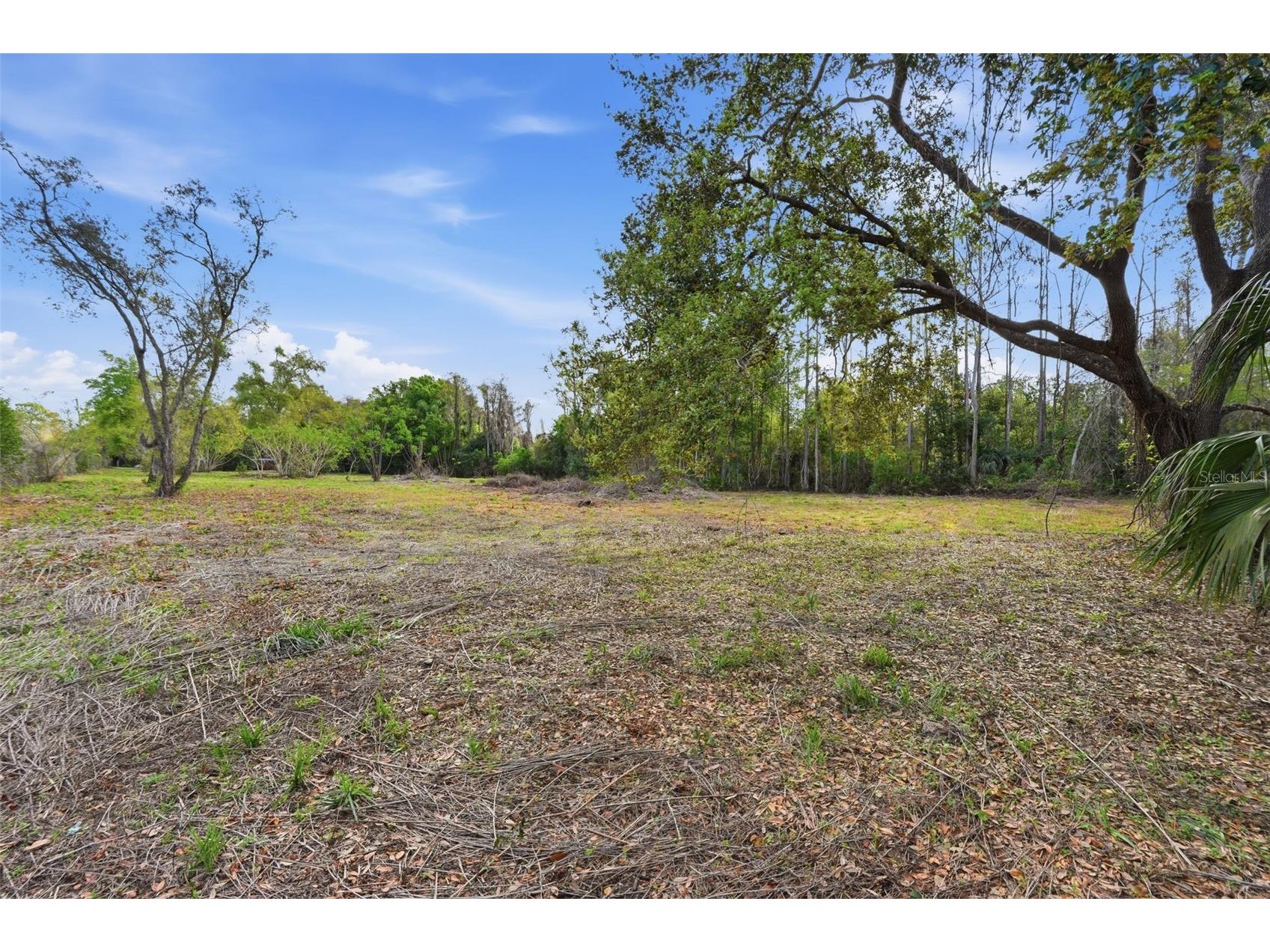9906 Hilltop Drive New Port Richey FL 34654 TB8320335 image22