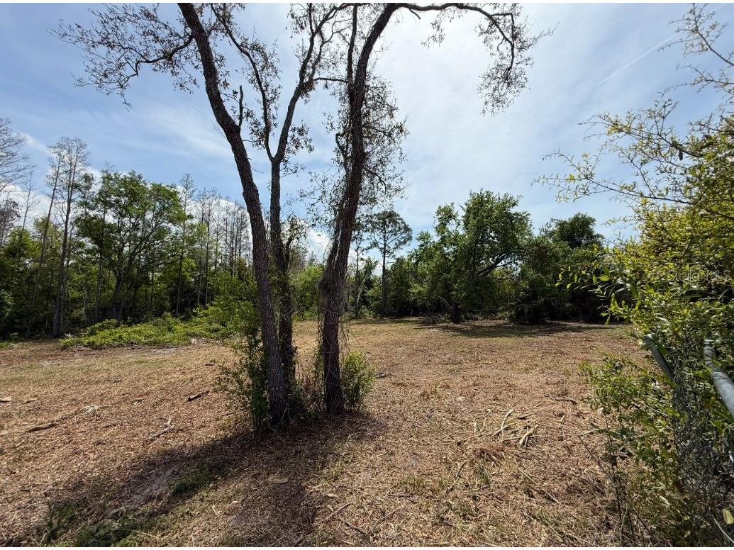 9906 Hilltop Drive New Port Richey FL 34654 TB8320335 image4