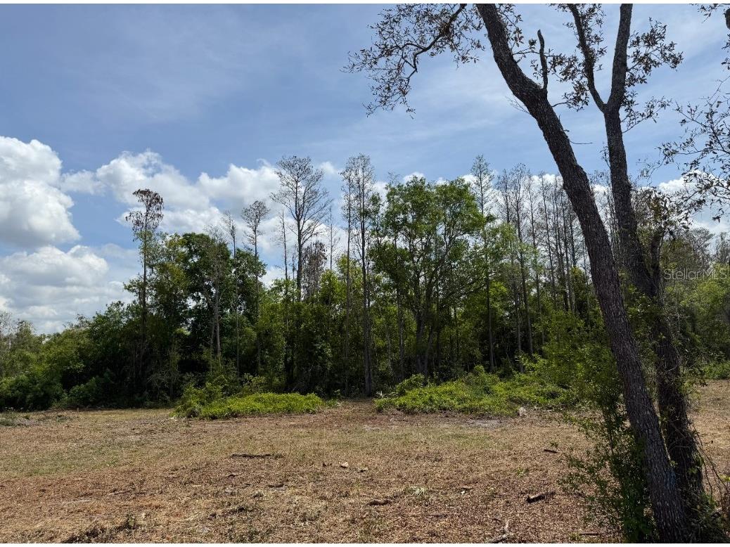 9906 Hilltop Drive New Port Richey FL 34654 TB8320335 image5