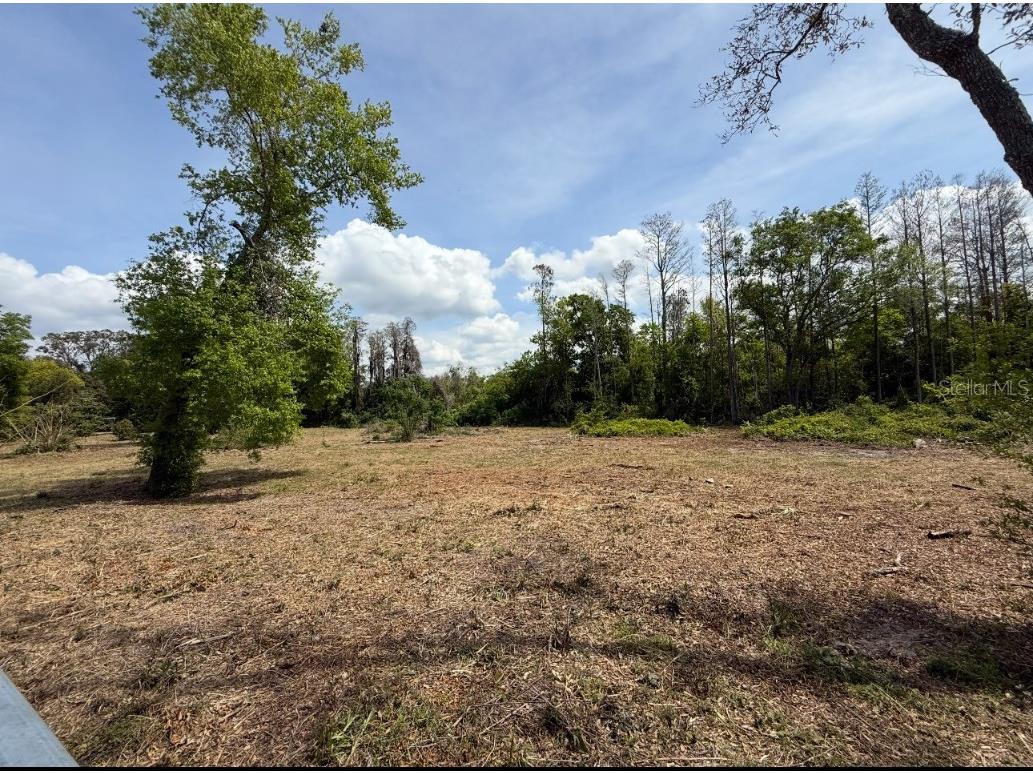 9906 Hilltop Drive New Port Richey FL 34654 TB8320335 image6