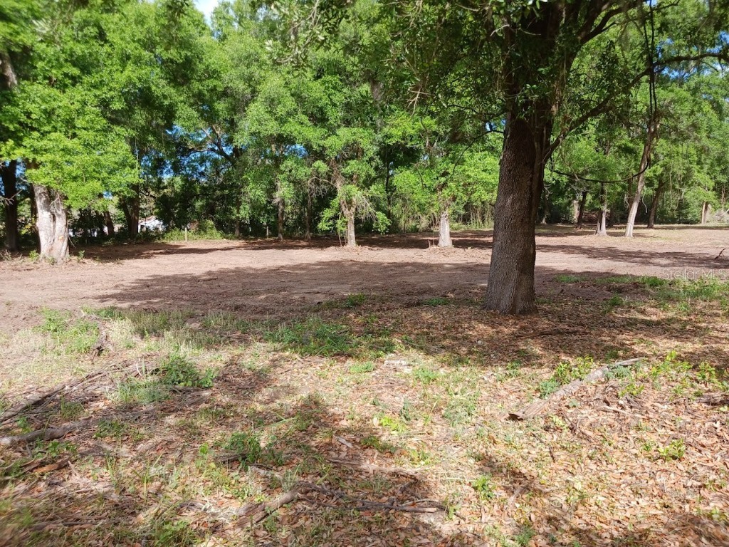 9906 Joe Ebert Road Seffner FL 33584 O6093491 image1