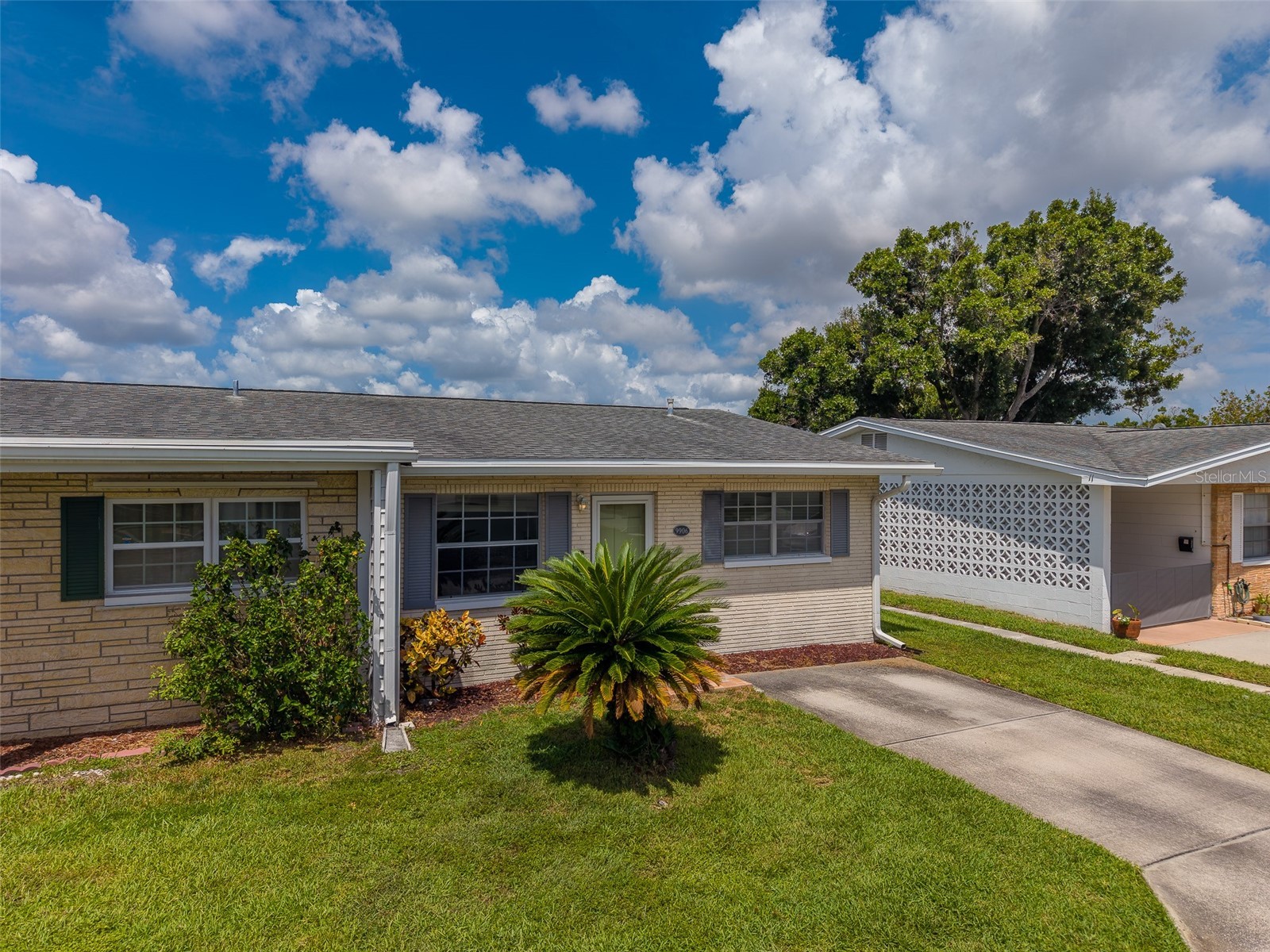 9906 Lily Street N Pinellas Park FL 33782 TB8527532 image21