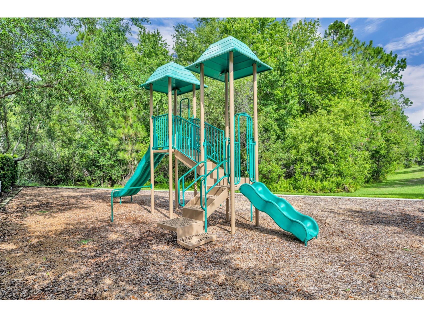 9906 Moss Rose Way Orlando FL 32832 O6412357 image39