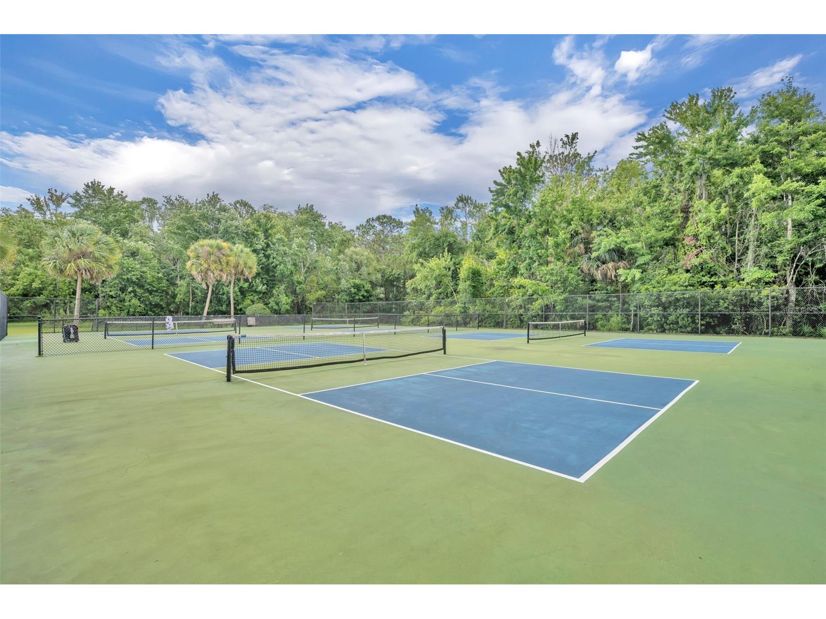 9906 Moss Rose Way Orlando FL 32832 O6412357 image41