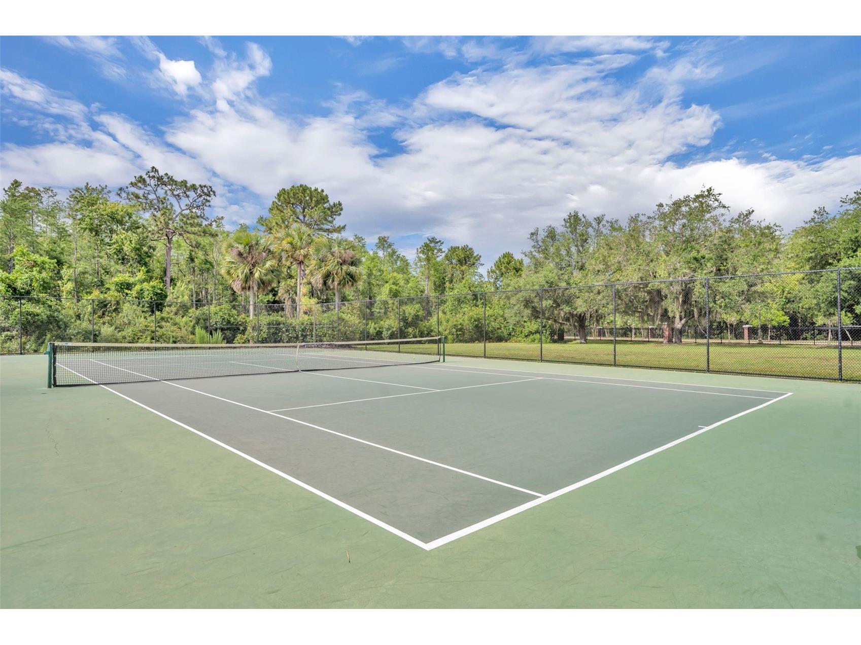 9906 Moss Rose Way Orlando FL 32832 O6412357 image42