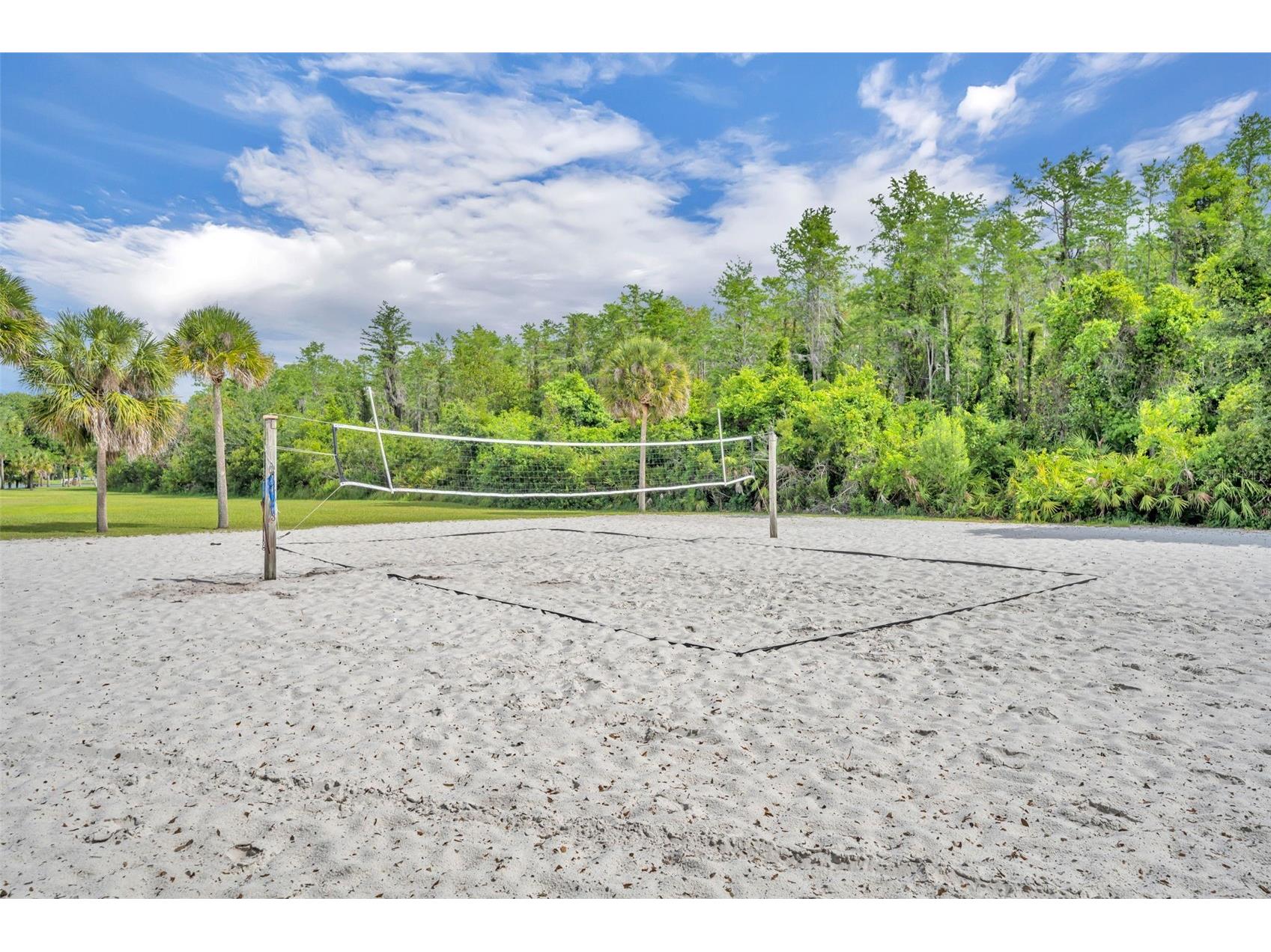 9906 Moss Rose Way Orlando FL 32832 O6412357 image43