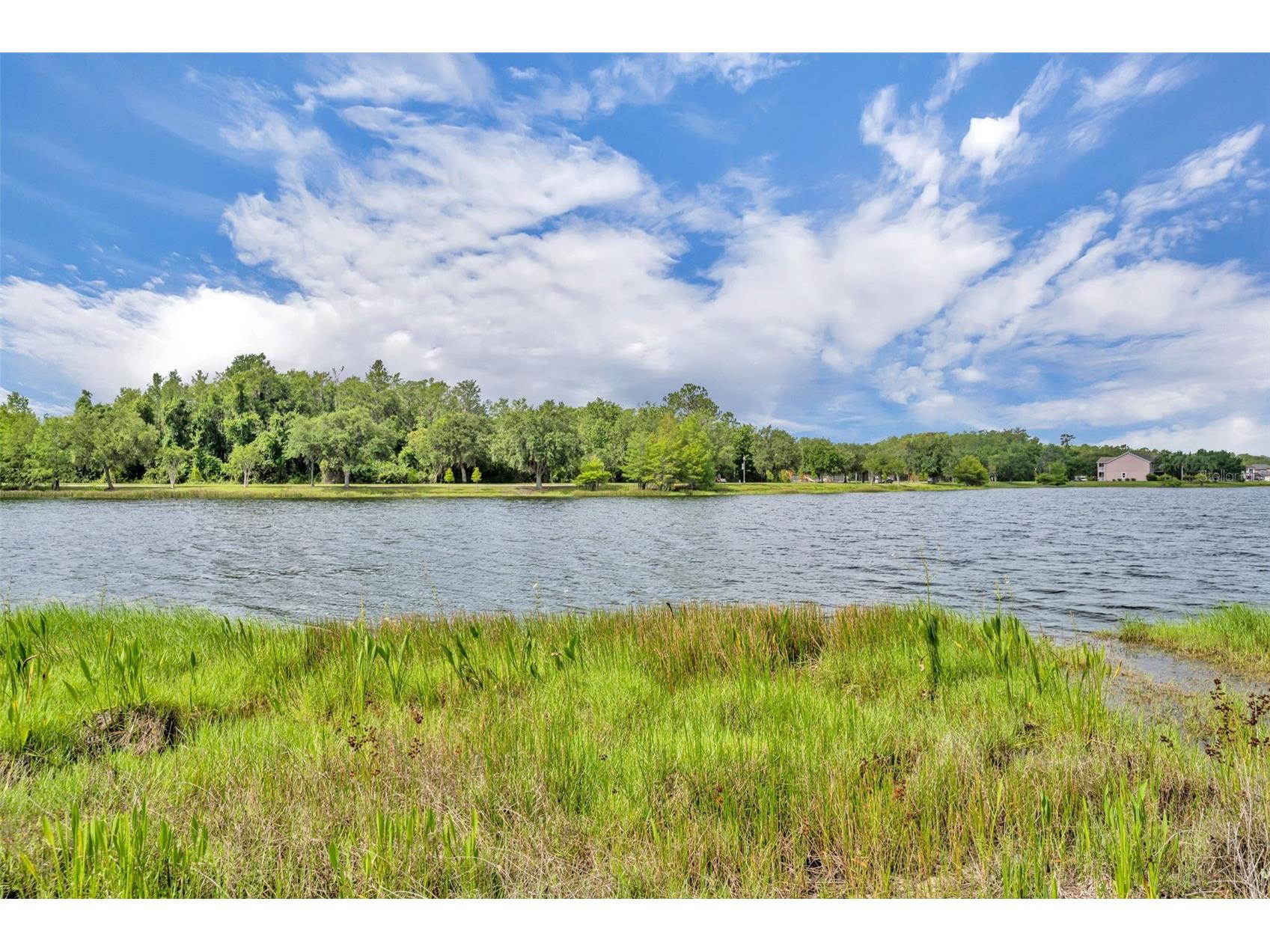 9906 Moss Rose Way Orlando FL 32832 O6412357 image45