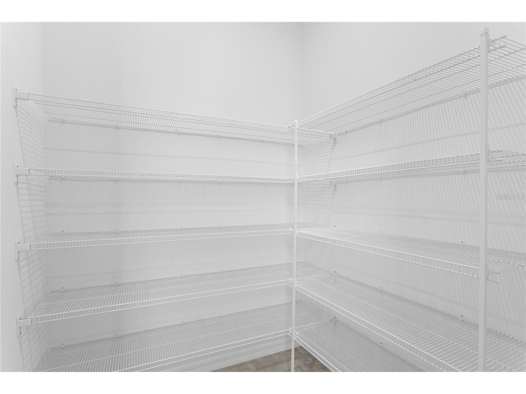 9906 Tate Lane Westchase FL 33626 TB8479404 image26