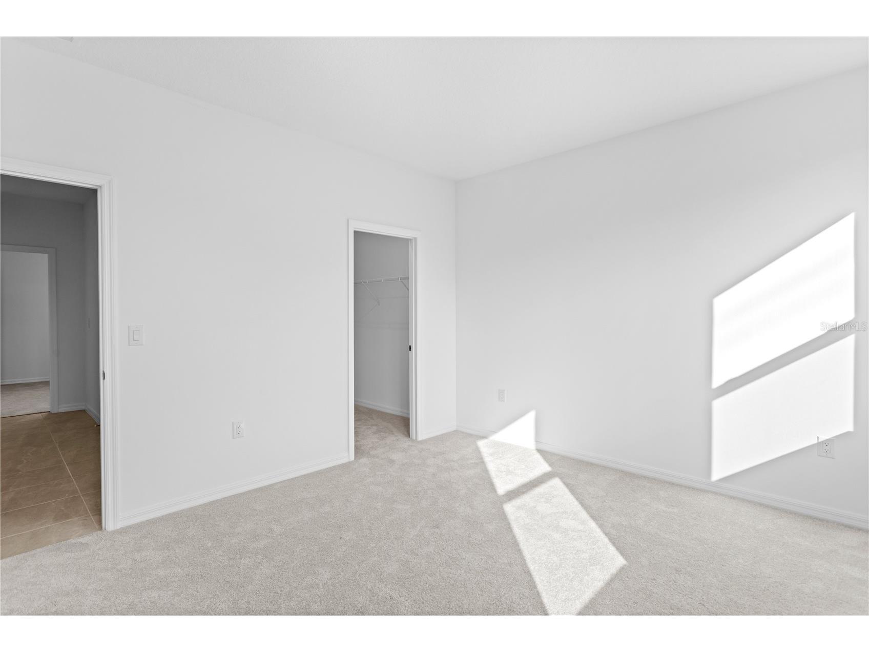 9906 Tate Lane Westchase FL 33626 TB8479404 image40