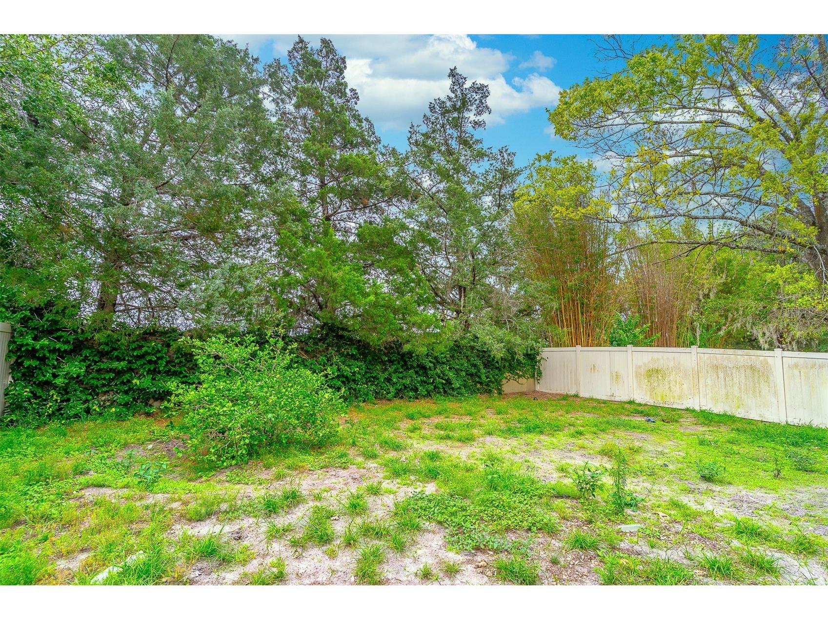9907 Armando Circle Orlando FL 32825 O6414504 image23
