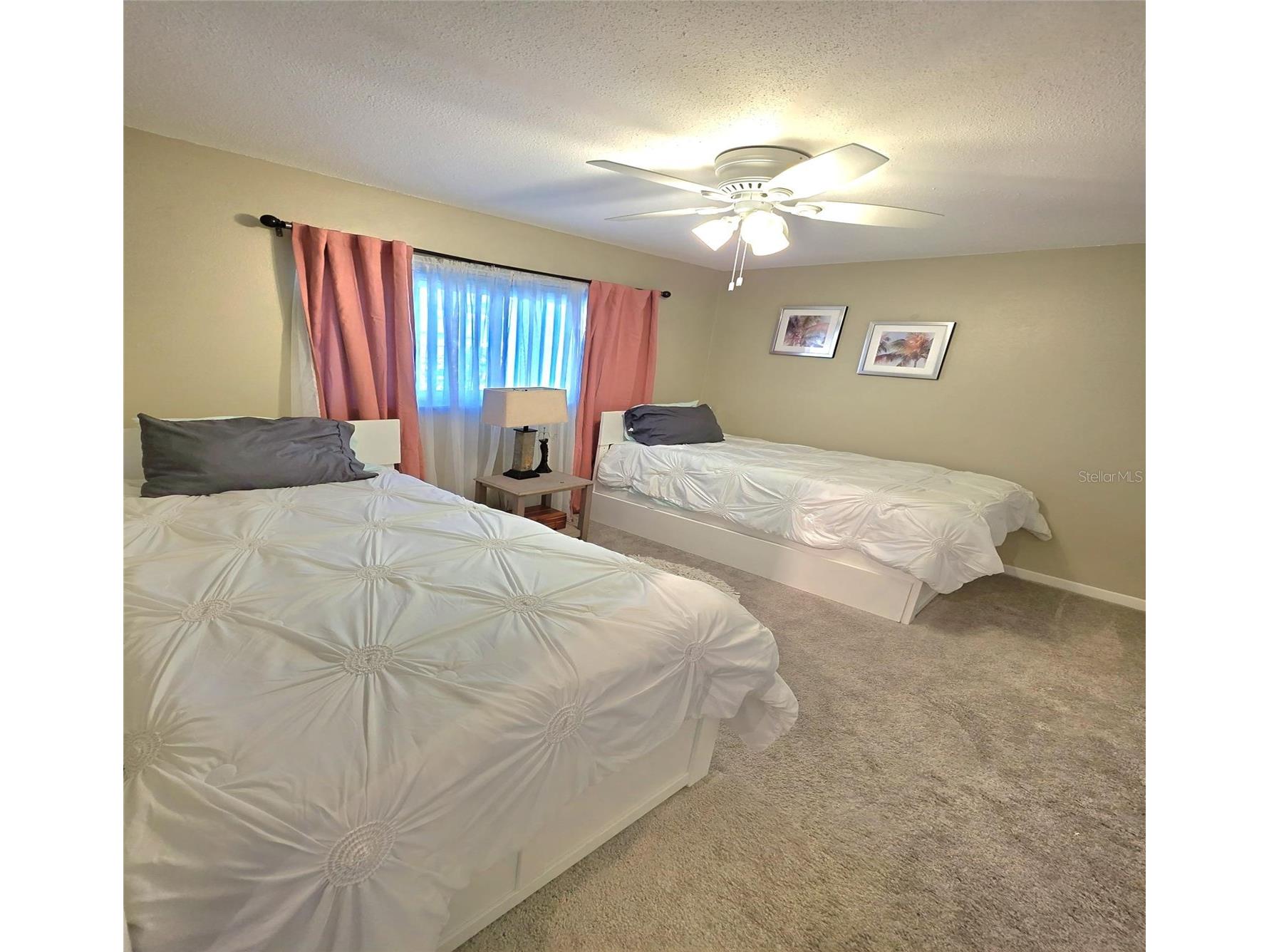 9907 Dahlia Street N Pinellas Park FL 33782 TB8462218 image12