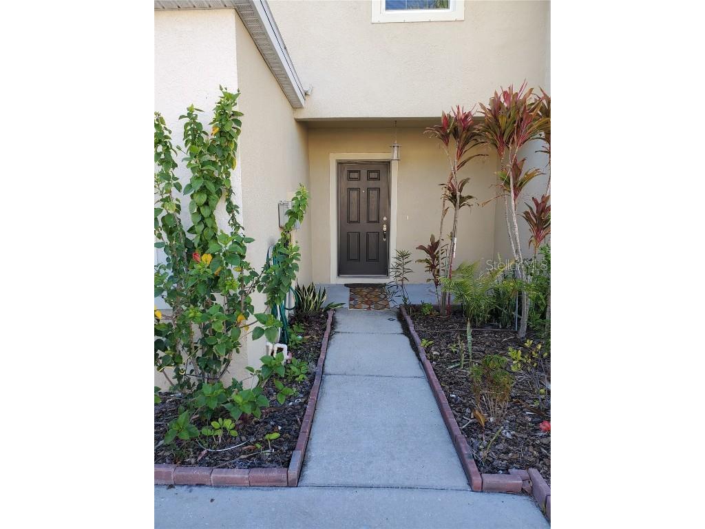 9907 Hound Chase Drive Gibsonton FL 33534 T3433541 image1