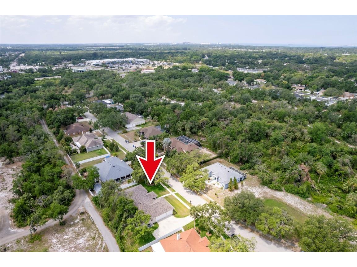 9908 Alafia River Lane Gibsonton FL 33534 TB8388663 image49