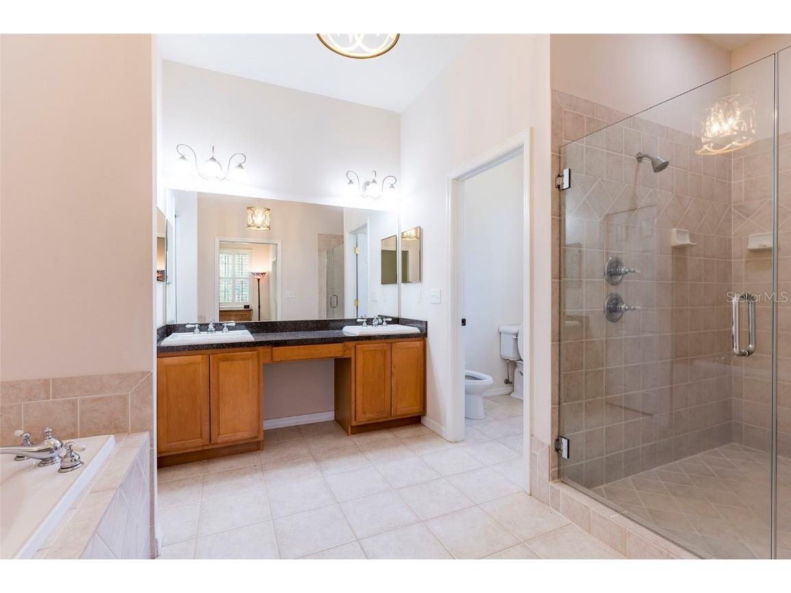 9908 Alafia River Lane Gibsonton FL 33534 TB8388663 image7