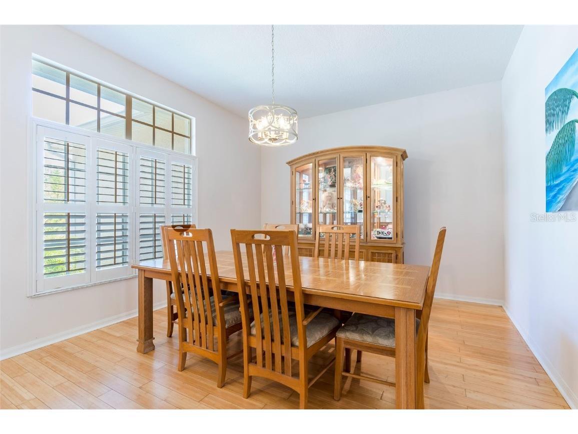 9908 Alafia River Lane Gibsonton FL 33534 TB8388663 image9