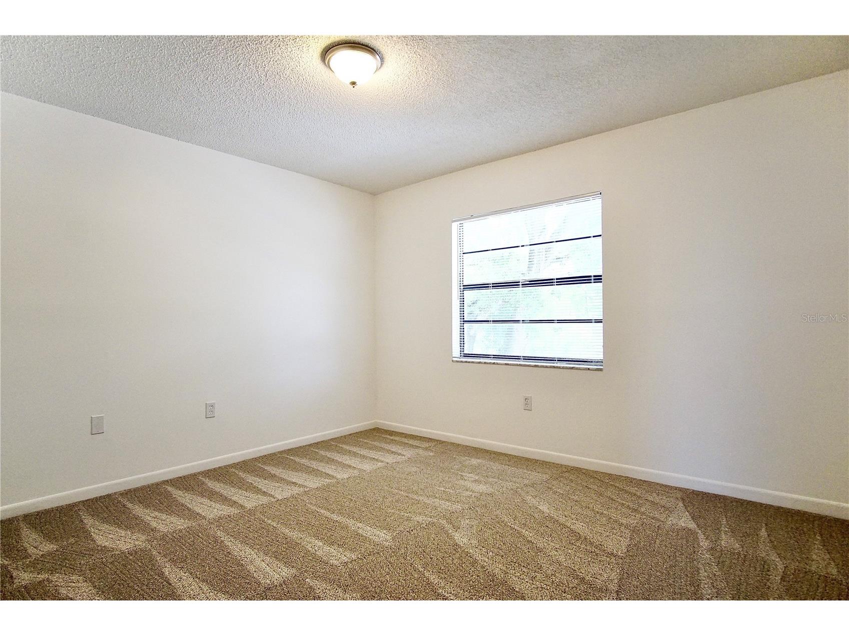 9908 N Myrtle Street #A & B Tampa FL 33617 TB8510017 image13