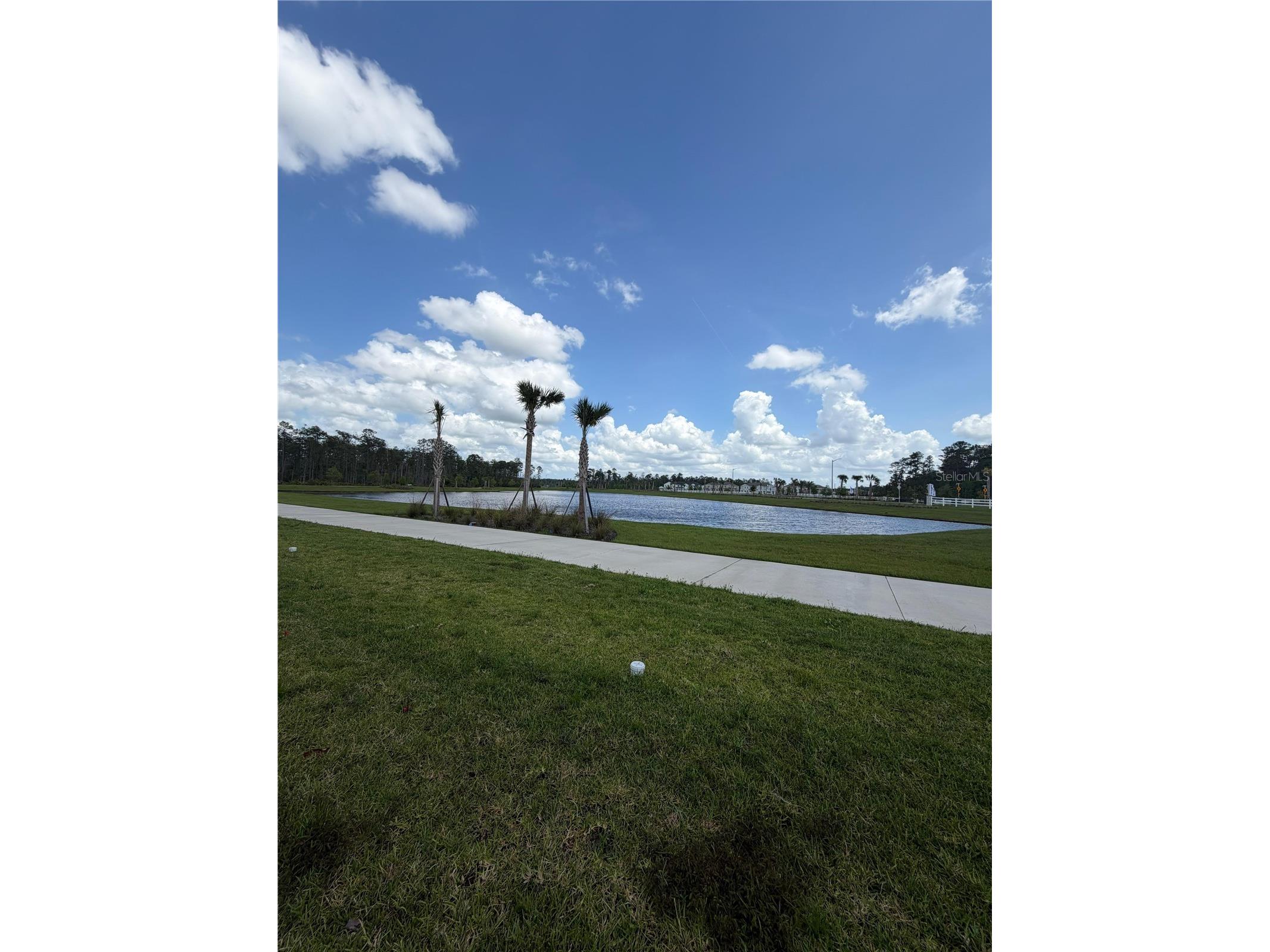 9908 Red Canoe Alley Orlando FL 32832 S5151001 image8