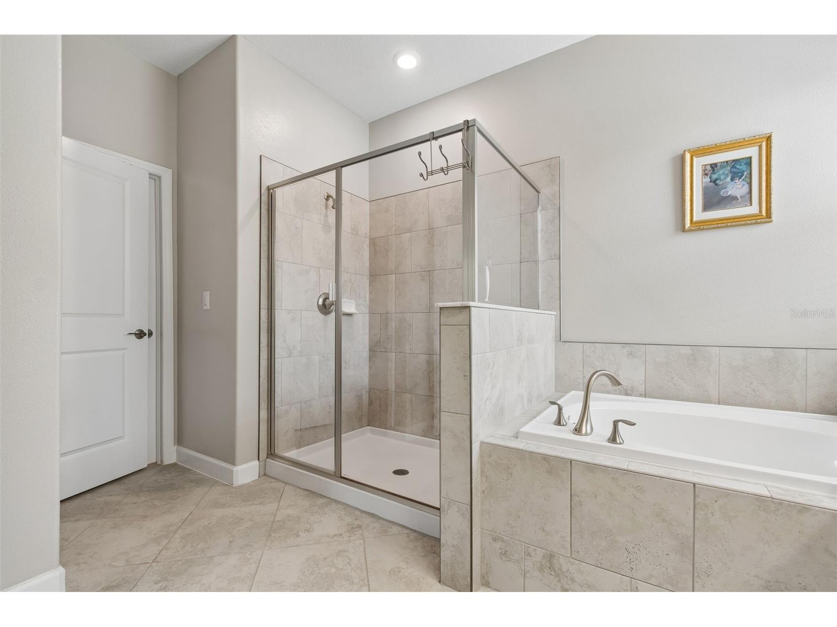 9908 Sage Creek Drive Ruskin FL 33573 TB8518575 image14