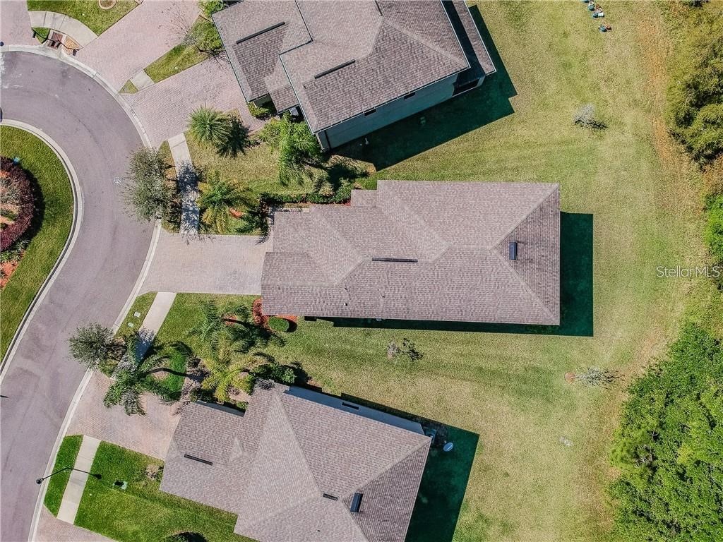 9908 Spice Bush Court Tampa FL 33647 TB8448694 image10