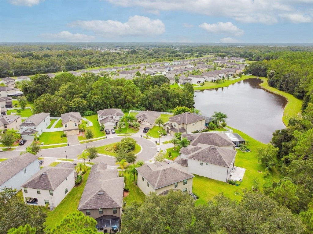 9908 Spice Bush Court Tampa FL 33647 TB8448694 image11