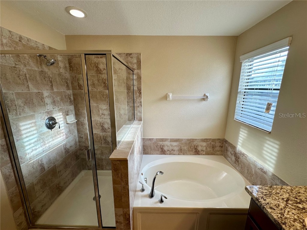 9908 Spice Bush Court Tampa FL 33647 TB8448694 image13