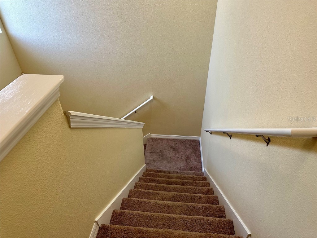 9908 Spice Bush Court Tampa FL 33647 TB8448694 image19