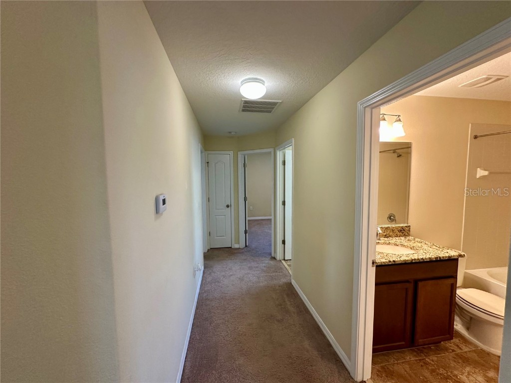 9908 Spice Bush Court Tampa FL 33647 TB8448694 image20