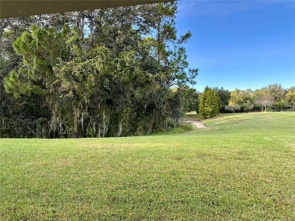 9908 Spice Bush Court Tampa FL 33647 TB8448694 image24