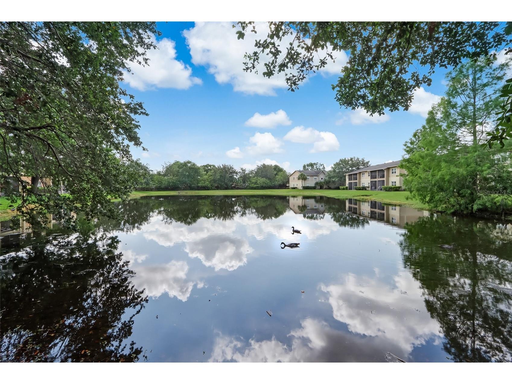 9908 Sweepstakes Lane #8 Orlando FL 32837 S5147263 image25