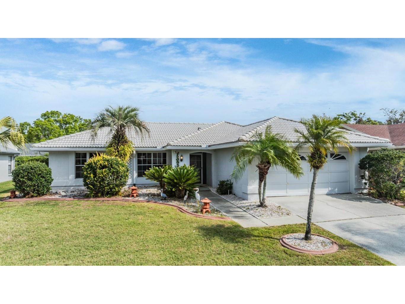 9909 Lopez Drive New Port Richey FL 34655 TB8363946 image1