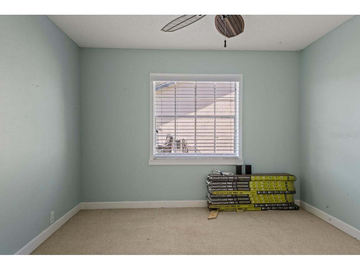 9909 Middlecoff Drive New Port Richey FL 34655 TB8458570 image23