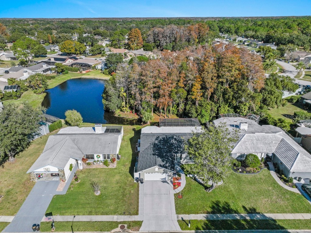 9909 Middlecoff Drive New Port Richey FL 34655 TB8458570 image29