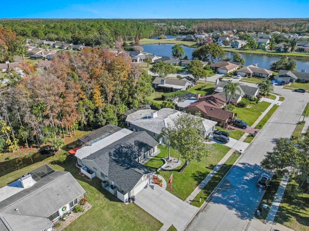 9909 Middlecoff Drive New Port Richey FL 34655 TB8458570 image31