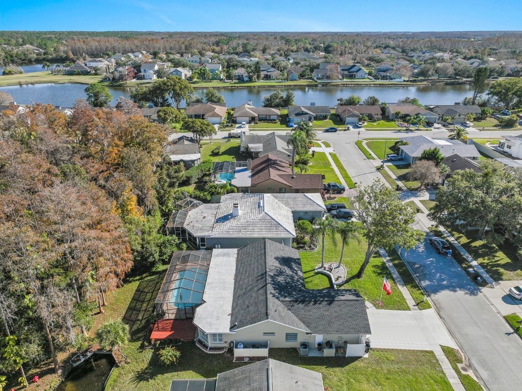 9909 Middlecoff Drive New Port Richey FL 34655 TB8458570 image32