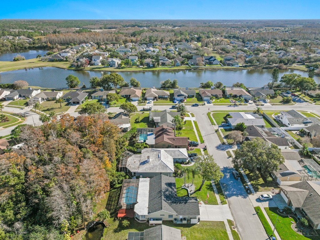 9909 Middlecoff Drive New Port Richey FL 34655 TB8458570 image33